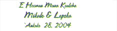 Personalized Hawaiian Napkin Wraps